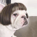 Peruca para animais de estimação, peruca para cães, cabelo encaracolado, cabelo liso, peruca de gato
