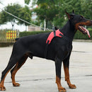Coleira/Colete Premium para Cachorro - PuppyPet