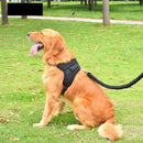 Coleira/Colete Premium para Cachorro - PuppyPet