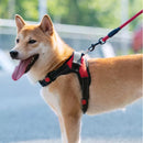 Coleira/Colete Premium para Cachorro - PuppyPet