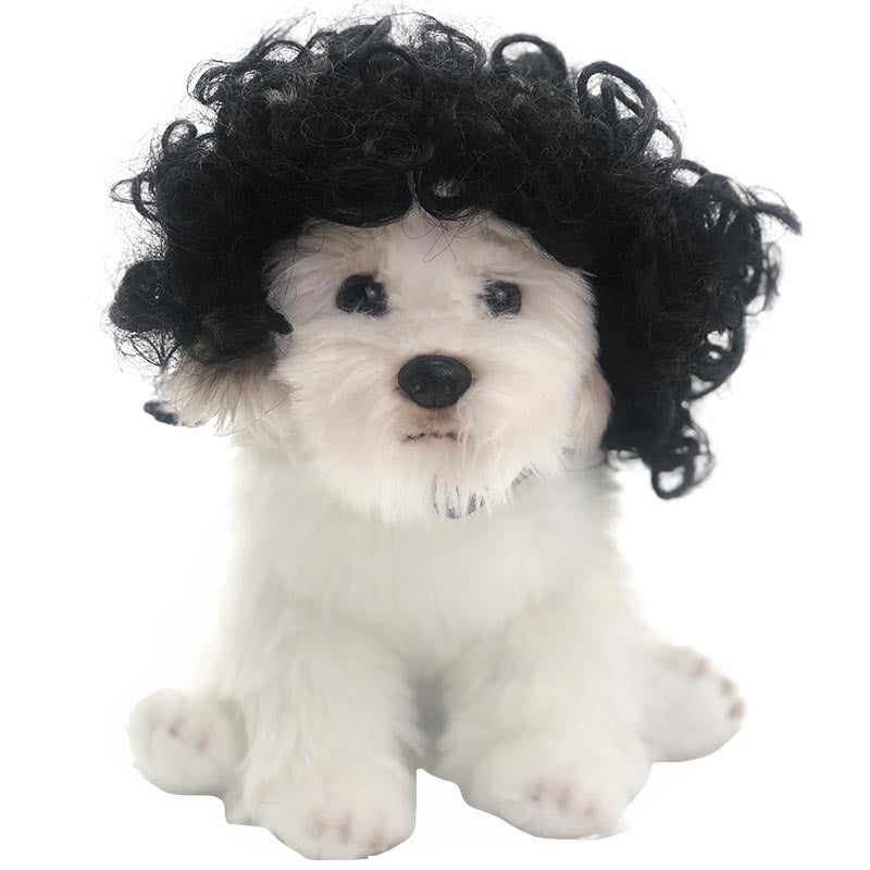 Peruca para animais de estimação, peruca para cães, cabelo encaracolado, cabelo liso, peruca de gato