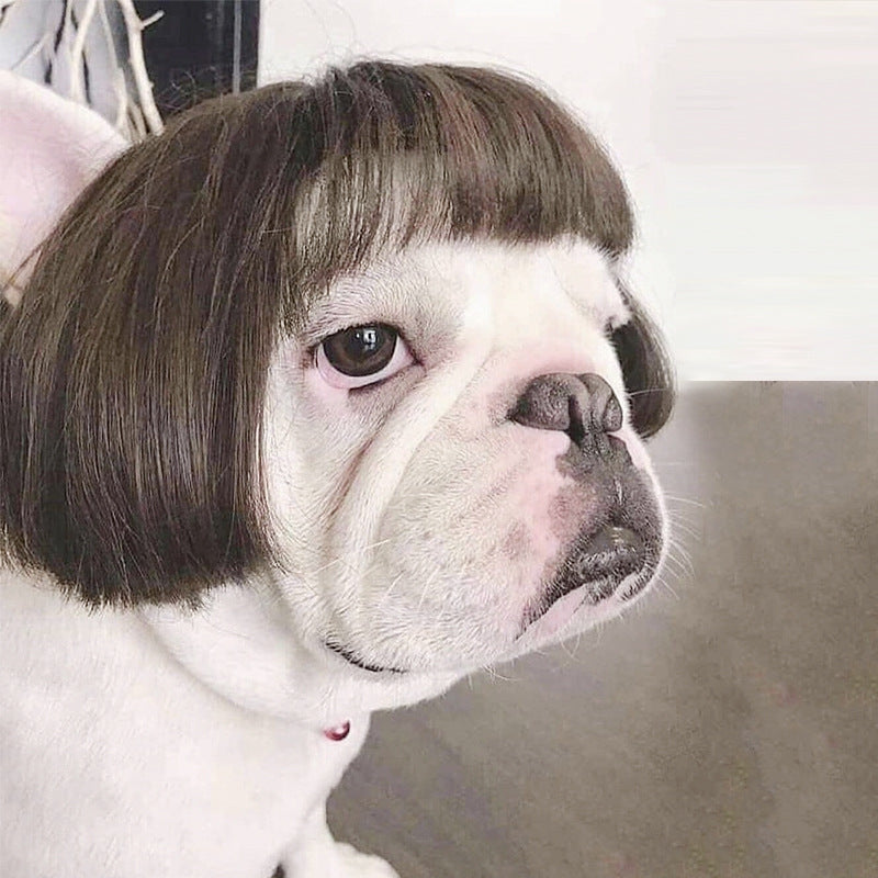 Peruca para animais de estimação, peruca para cães, cabelo encaracolado, cabelo liso, peruca de gato