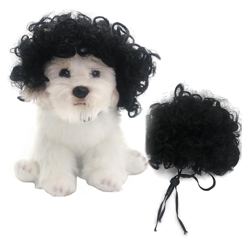 Peruca para animais de estimação, peruca para cães, cabelo encaracolado, cabelo liso, peruca de gato