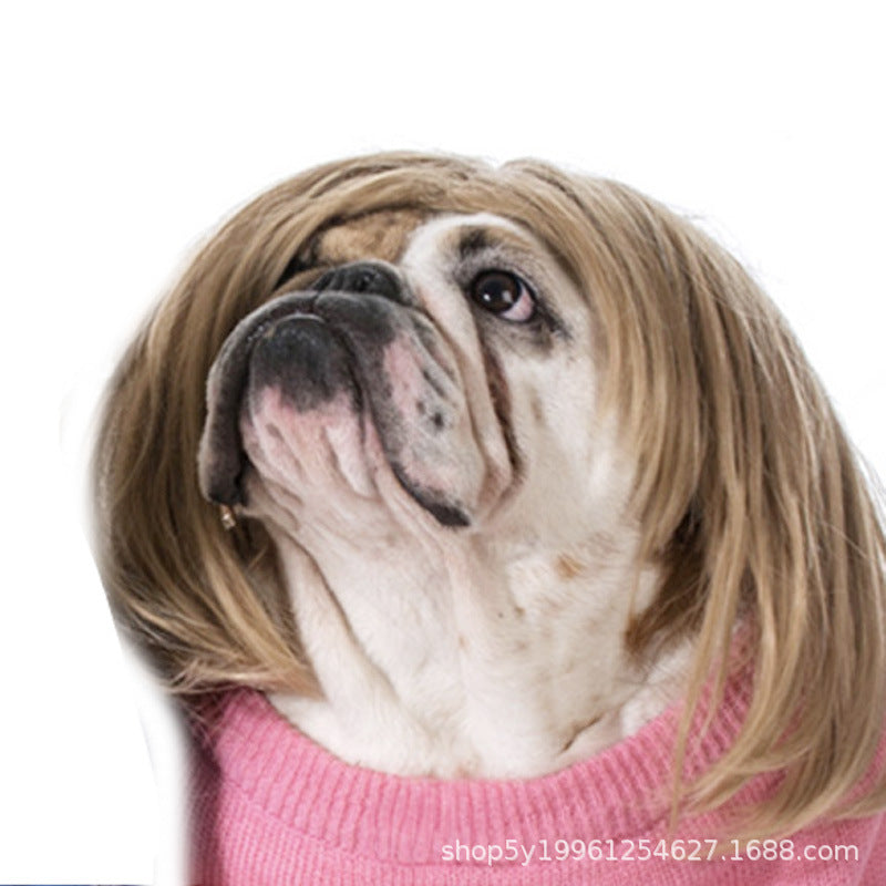 Peruca para animais de estimação, peruca para cães, cabelo encaracolado, cabelo liso, peruca de gato