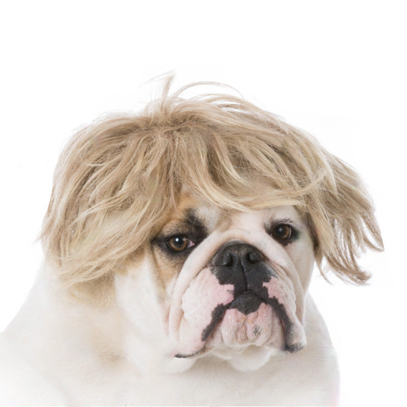 Peruca para animais de estimação, peruca para cães, cabelo encaracolado, cabelo liso, peruca de gato