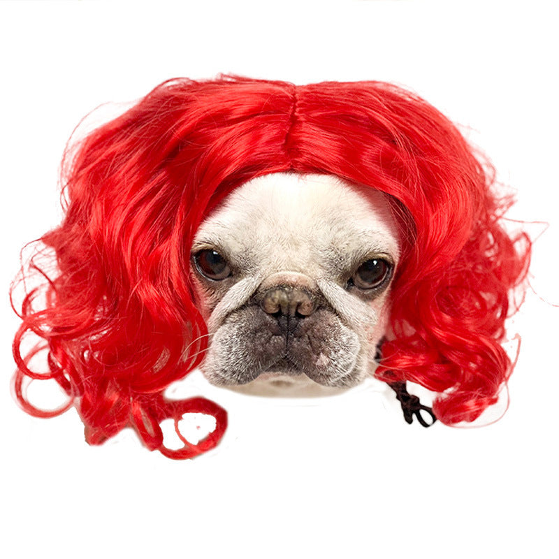 Peruca para animais de estimação, peruca para cães, cabelo encaracolado, cabelo liso, peruca de gato