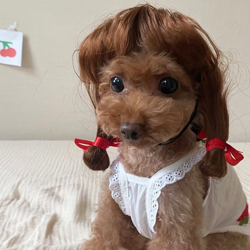Peruca para animais de estimação, peruca para cães, cabelo encaracolado, cabelo liso, peruca de gato