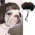 Peruca para animais de estimação, peruca para cães, cabelo encaracolado, cabelo liso, peruca de gato