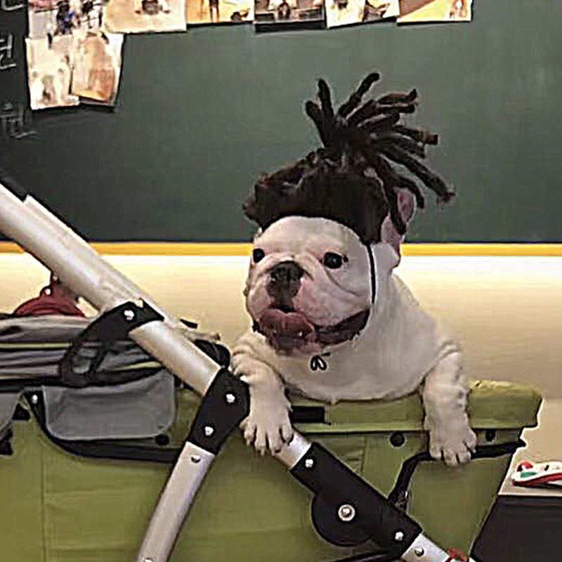 Peruca para animais de estimação, peruca para cães, cabelo encaracolado, cabelo liso, peruca de gato